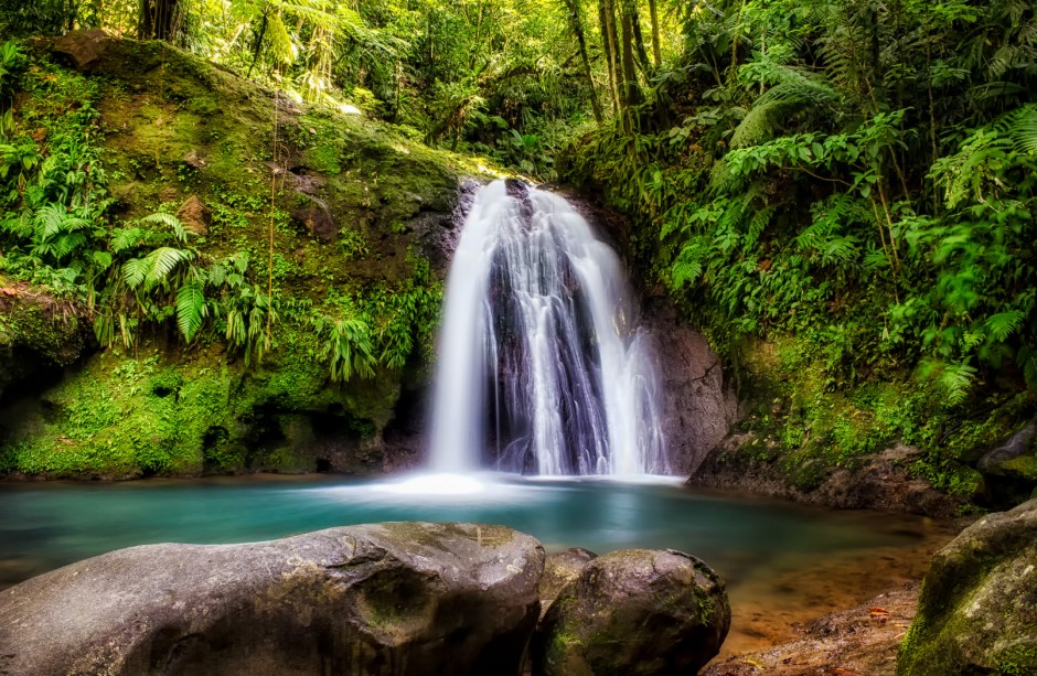 Cascade aux écrevisses - Guadeloupe